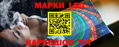 стаф Гатчина