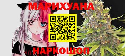 стаф Гатчина