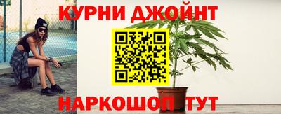 стаф Гатчина
