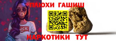стаф Гатчина