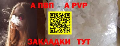 стаф Гатчина