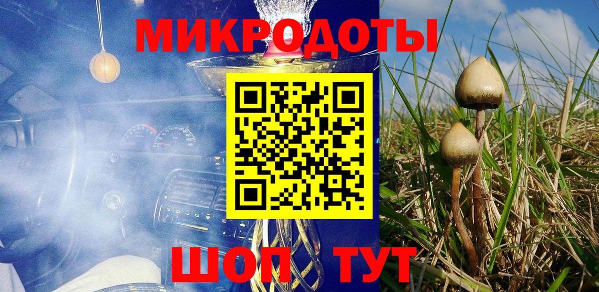 Псилоцибиновые грибы Psilocybe Дербент