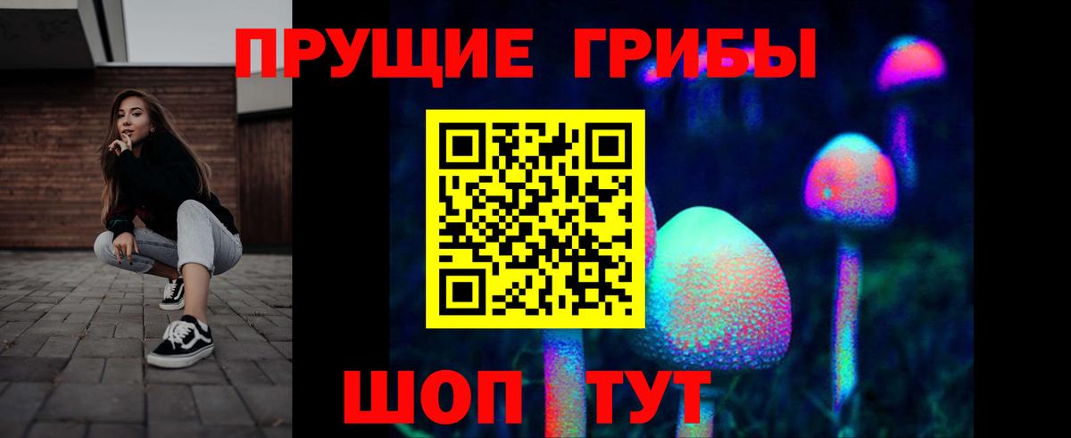Псилоцибиновые грибы Psilocybine cubensis  Вход с VPN  Дербент 